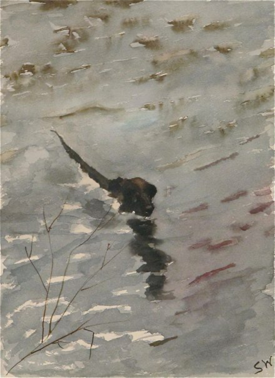 painting by Sarah White