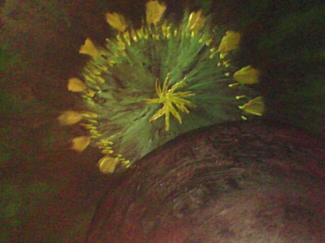 Coming Home, by Rebecca Lu Kiernan